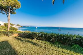 Sun Of Alcanada in Alc dia