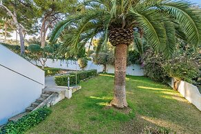 Sun Of Alcanada in Alc dia