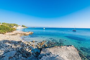 Sun Of Alcanada in Alc dia