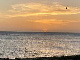 Boca Catalina 4 4 Private Pool Incredible Location