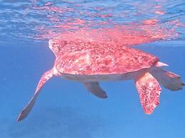 Boca Catalina Oceanview 4 4 Private Pool