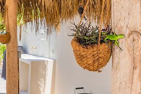 Buddha House 5 5 Palapa Suite Pool in Palm Beach