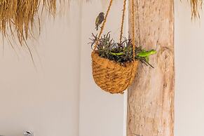 Buddha House 5 5 Palapa Suite Pool in Palm Beach