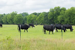 The Cabins on Rockmine