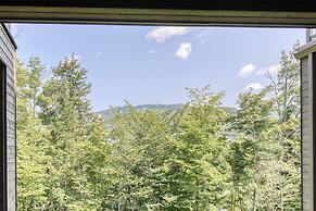 101 Verbier Building 5