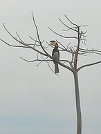 Harmony Haven Eco Resort Udawalawe