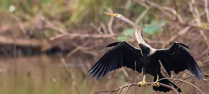 Harmony Haven Eco Resort Udawalawe