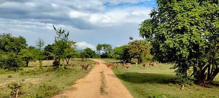 Harmony Haven Eco Resort Udawalawe
