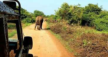 Harmony Haven Eco Resort Udawalawe