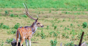 Harmony Haven Eco Resort Udawalawe