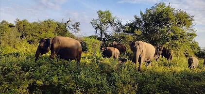 Harmony Haven Eco Resort Udawalawe