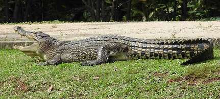 Harmony Haven Eco Resort Udawalawe