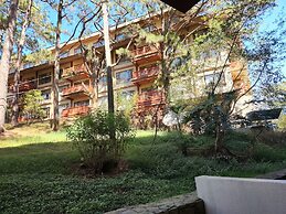 Camp john hay forest lodge