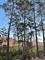 4 Camp & Restaurant - Adult Only