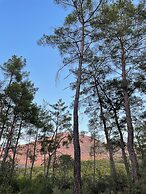 4 Camp & Restaurant - Adult Only