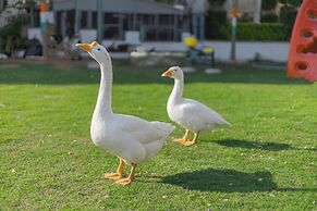 Clarks Resort The Archis Castle   Ajmer