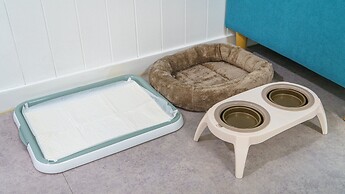 Yangpyeong Beulleosseom pet spa Pension