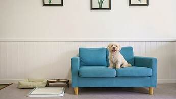 Yangpyeong Beulleosseom pet spa Pension