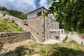 Villa Lapis in Buzet