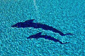 Villa Olivia Clara in Sifnos