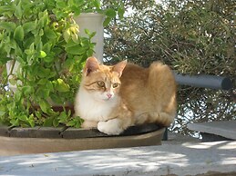 Porto Castello Villas Porto Marina