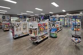 Jellystone Park at Larkspur