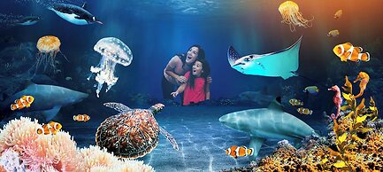 Bokarina Beach Apartments Ascend Hotel Collection