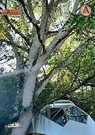 Magno Glamping