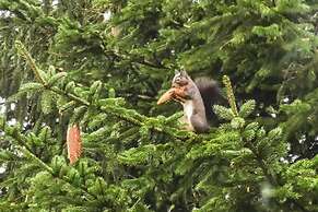 Ferienwohnung mit Weitem Ausblick in Altenau