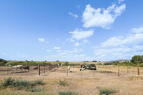 Mountain-view Log Cabin in Wyoming Wilderness