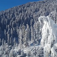 Goroomgo See Himalaya Camp Kasol