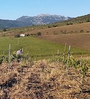 Nature Lovers Escape on an Eco-friendly Vineyard