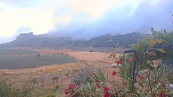 Nature Lovers Escape on an Eco-friendly Vineyard
