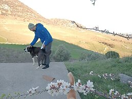 Nature Lovers Escape on an Eco-friendly Vineyard