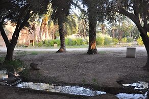 Bivouac Sous les palmiers bleus