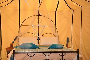 Bivouac Sous les palmiers bleus