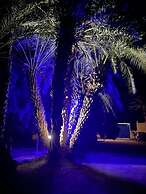 Bivouac Sous les palmiers bleus