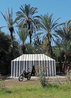 Bivouac Sous les palmiers bleus