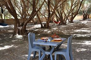 Bivouac Sous les palmiers bleus