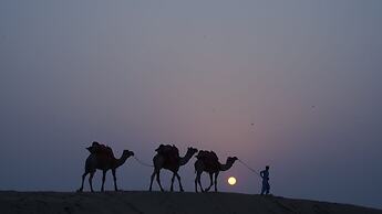Teela Jaisalmer Luxury Desert Swiss Tent