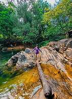 Khu du lich sinh thai yeshueeco