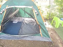 Backpackers Temple
