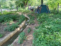 Backpackers Temple