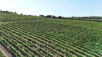 Cantina D'Erasmo