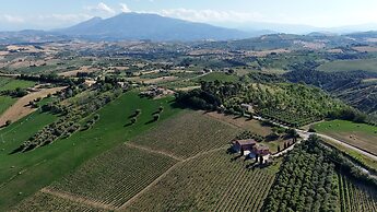 Cantina D'Erasmo