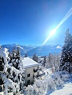 Vue imprenable sur les Alpes