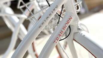 Trailborn Grand Canyon