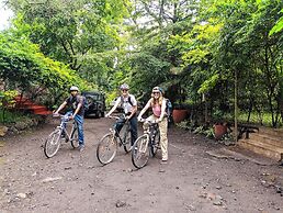 Shamba Hostel