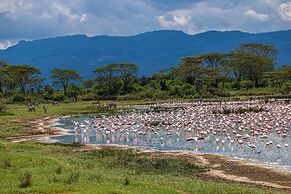 Mbweha Camp Lake Nakuru