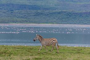 Mbweha Camp Lake Nakuru